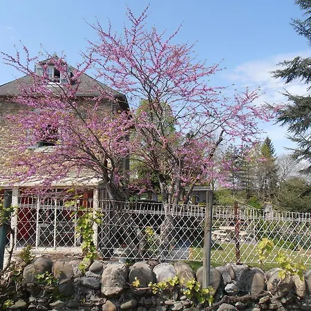 Gite Tuyaret Oloron-Sainte-Marie Buitenkant foto